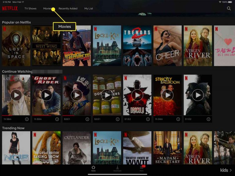 So laden Sie Filme von Netflix auf Ihren Mac oder Ihr iPad herunter